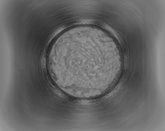 X0000111440827200908101013