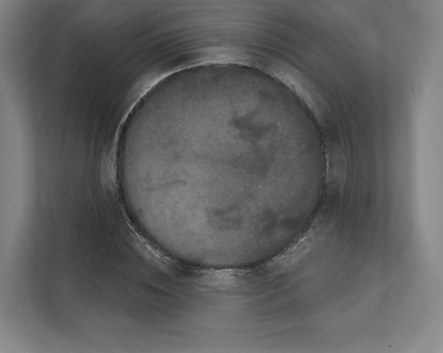 X0000111440828200908101013