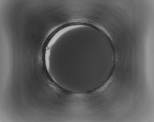 X0000111440830200908101013