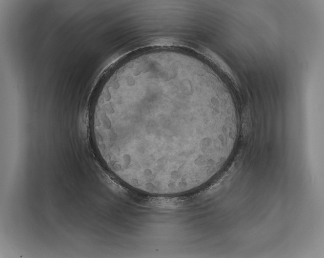 X0000111440831200908101013