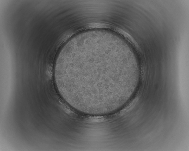 X0000111440833200908101013