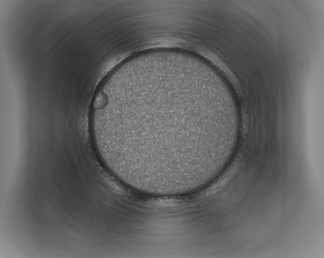 X0000111440834200908101013