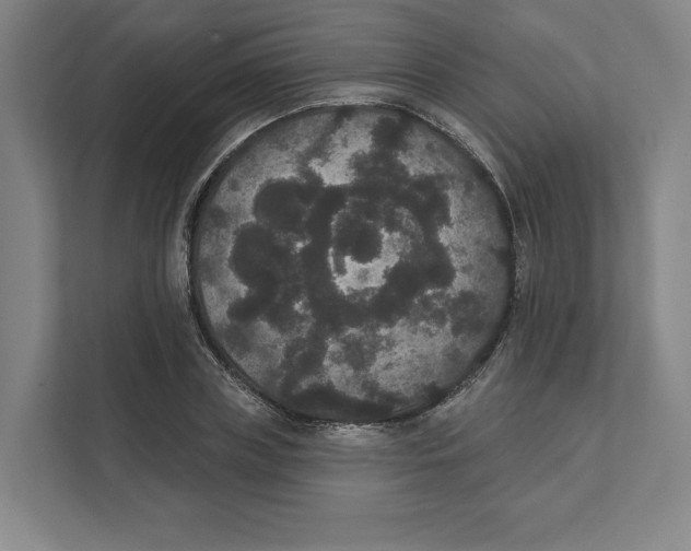 X0000111440835200908101013