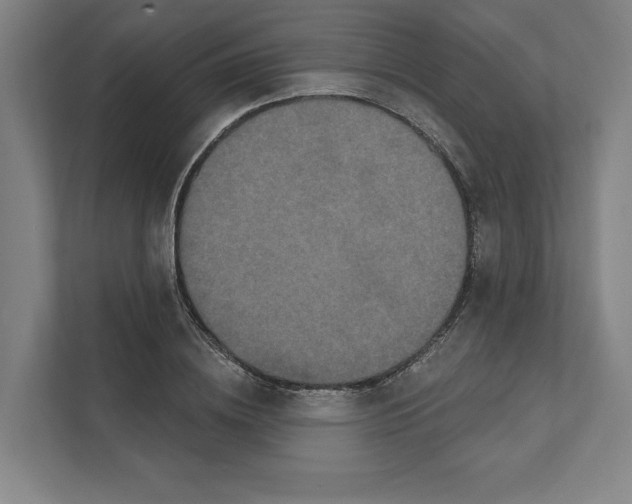 X0000111440836200908101013