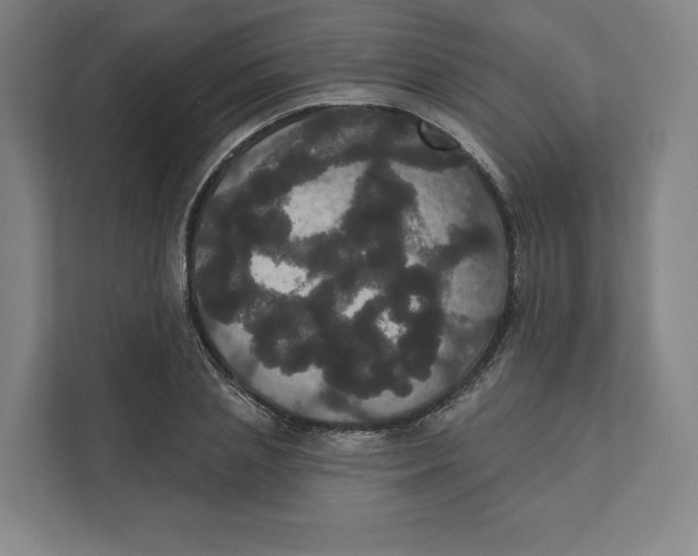 X0000111440837200908101013