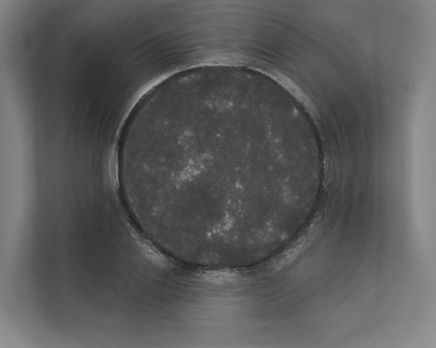 X0000111440838200908101013