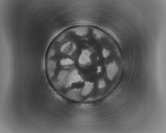 X0000111440839200908101013