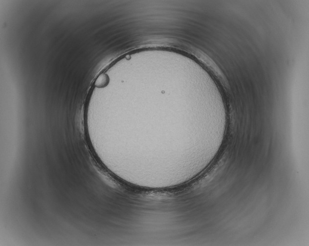 X0000111440842200908101013