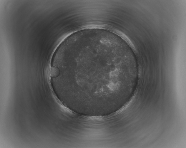 X0000111440844200908101013