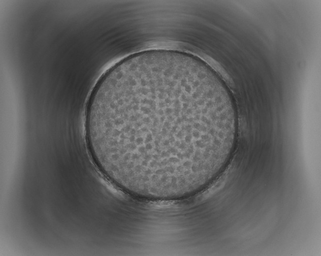 X0000111440846200908101013