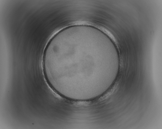 X0000111440847200908101013