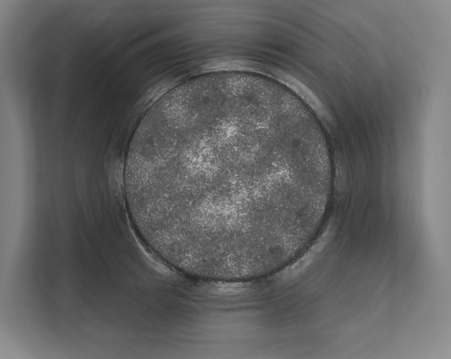 X0000111440849200908101013