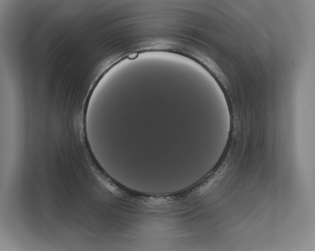 X0000111440850200908101013