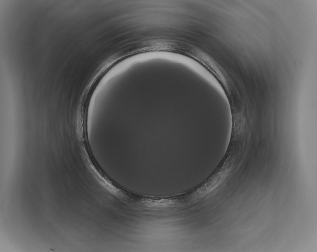 X0000111440851200908101013