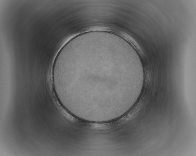 X0000111440852200908101013