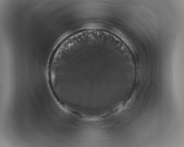 X0000111440853200908101013