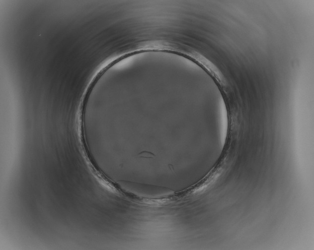 X0000111440854200908101013