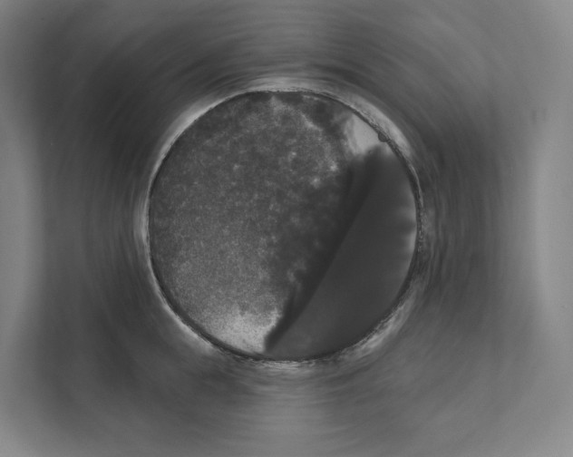 X0000111440855200908101013