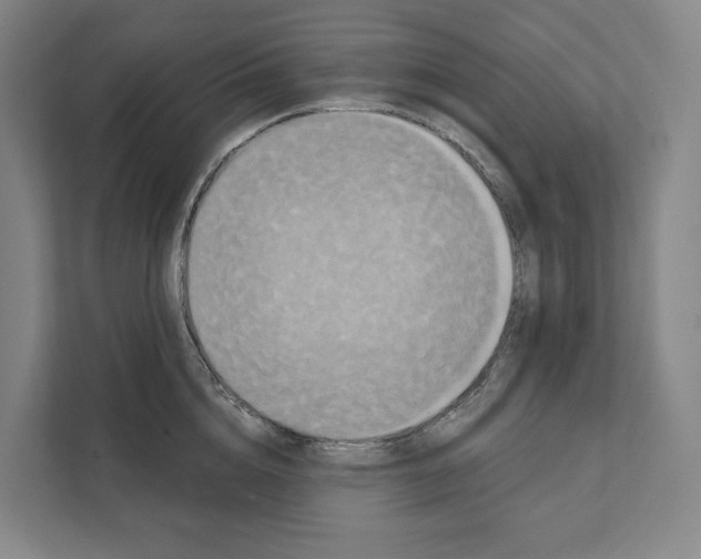 X0000111440856200908101013