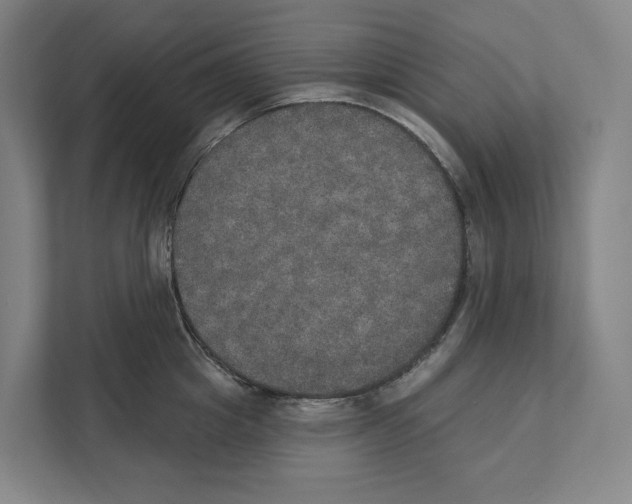 X0000111440857200908101013