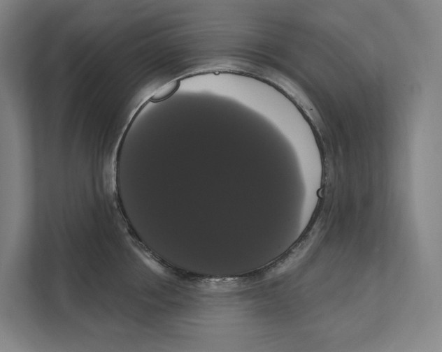 X0000111440858200908101013