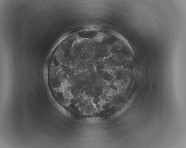 X0000111440859200908101013