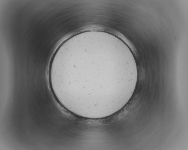 X0000111440861200908101013