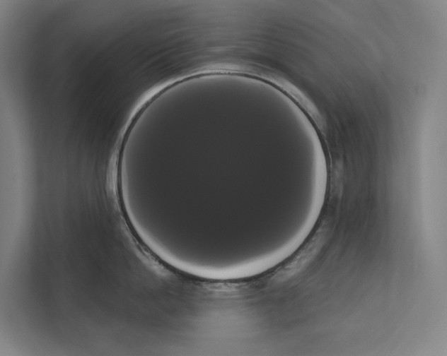 X0000111440862200908101013