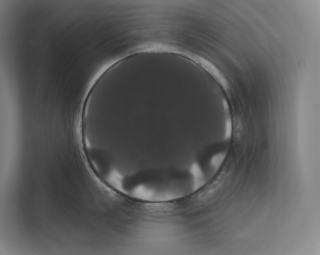 X0000111440863200908101013