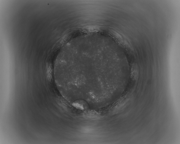 X0000111440866200908101012