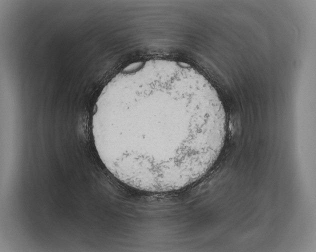 X0000111440867200908101012