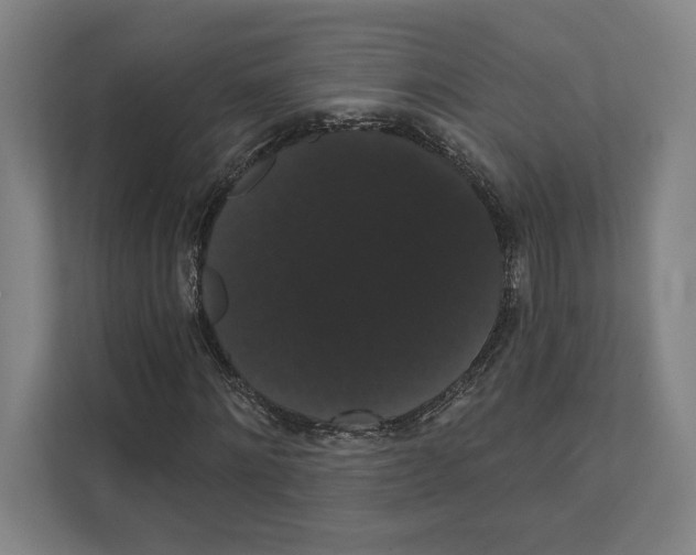 X0000111440868200908101012