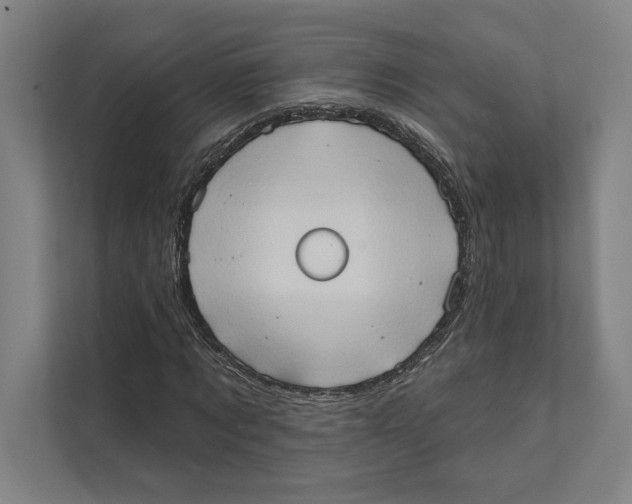 X0000111440869200908101012