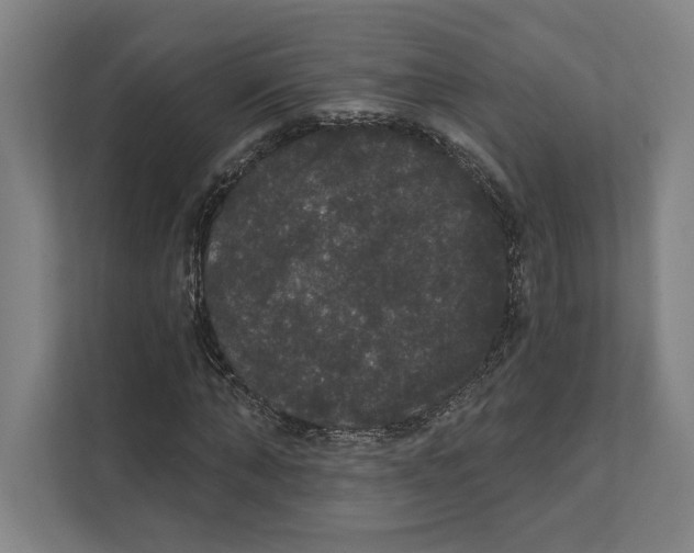 X0000111440870200908101012