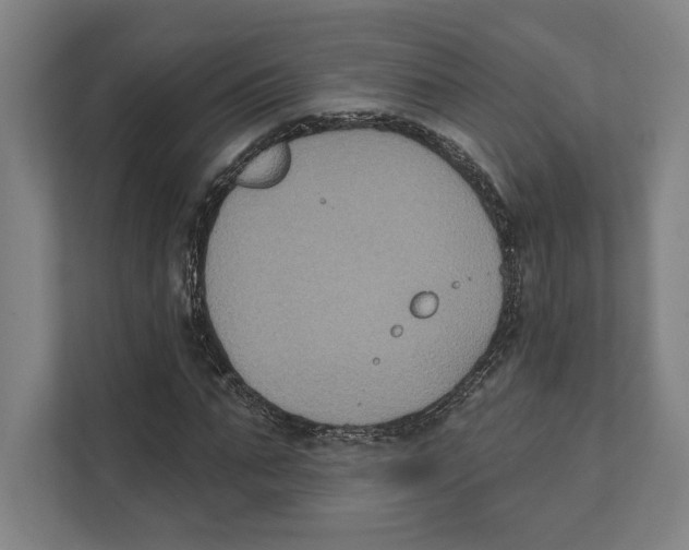 X0000111440871200908101012