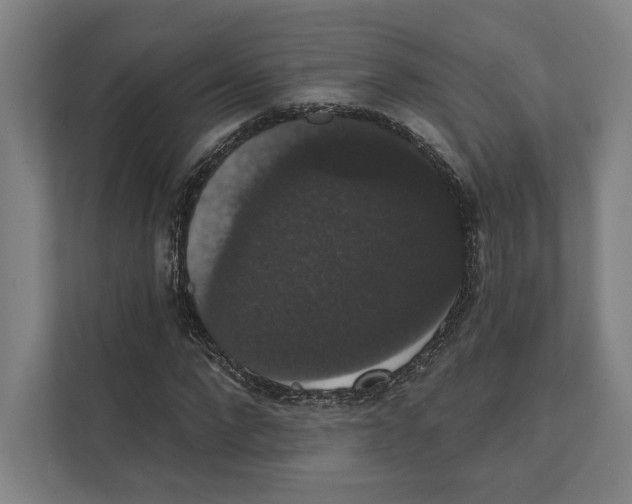 X0000111440872200908101012