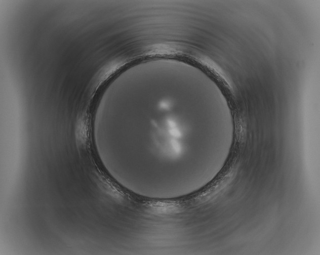 X0000111440874200908101012