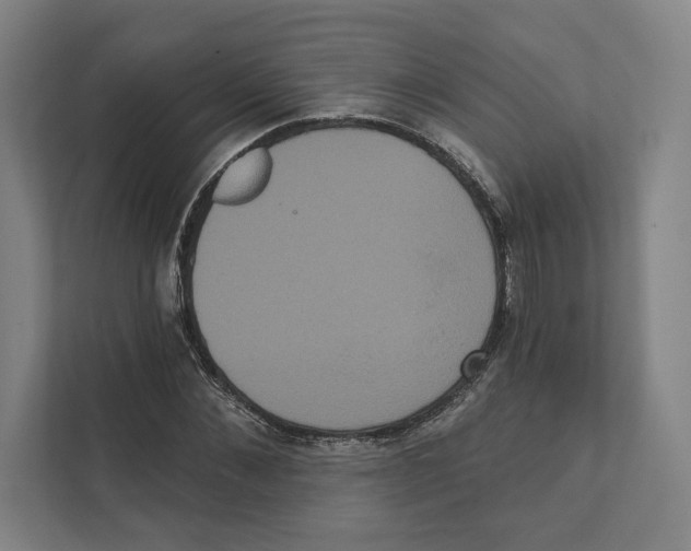 X0000111440876200908101012