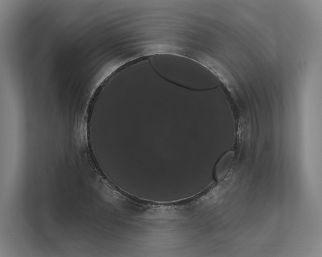 X0000111440877200908101012