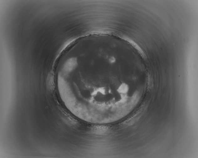 X0000111440878200908101012