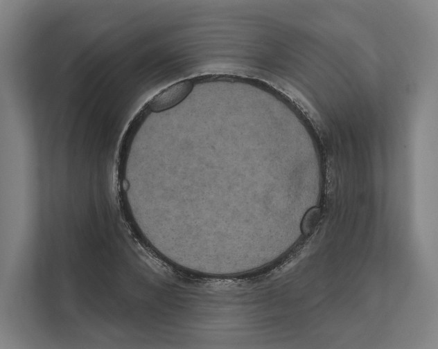 X0000111440880200908101012