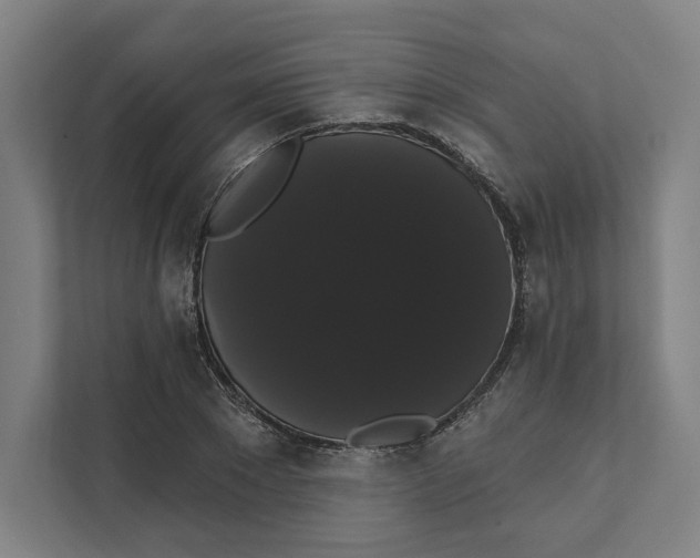 X0000111440881200908101012