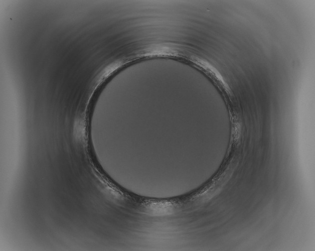 X0000111440882200908101012