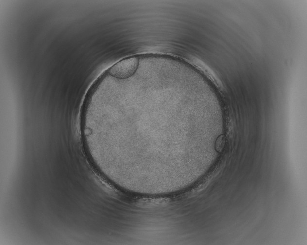 X0000111440884200908101012