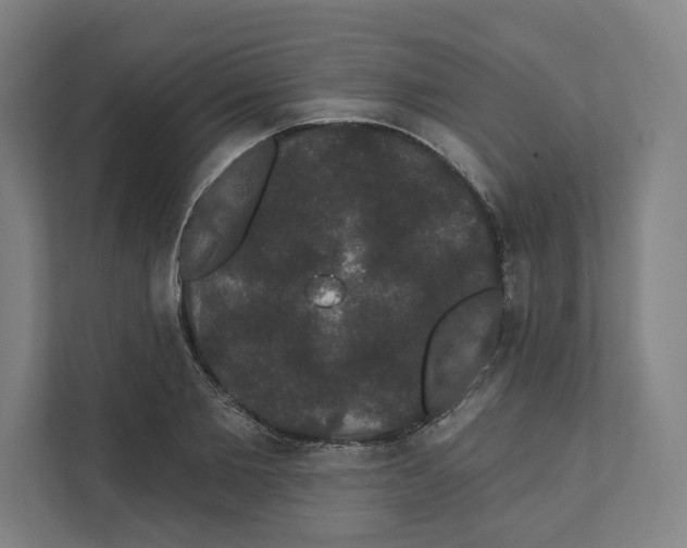 X0000111440885200908101012