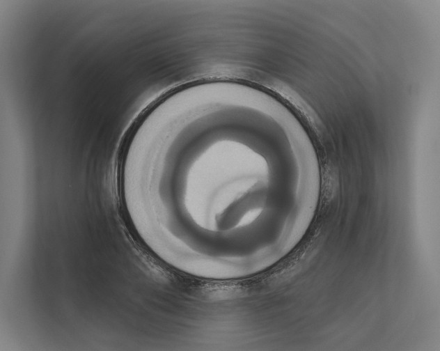 X0000111440886200908101012