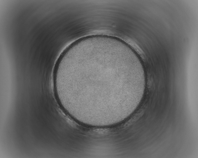 X0000111440888200908101012