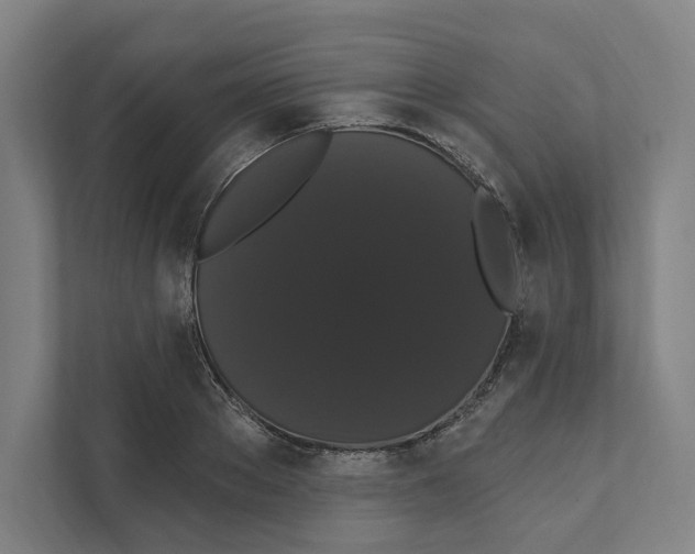 X0000111440889200908101012