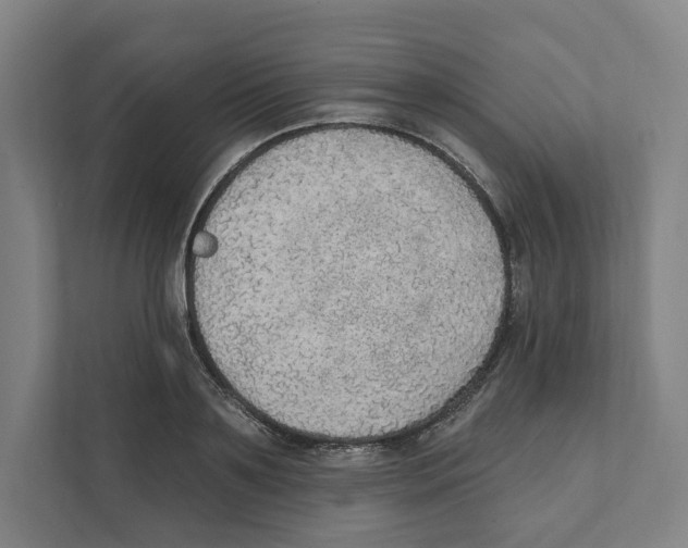 X0000111440891200908101012