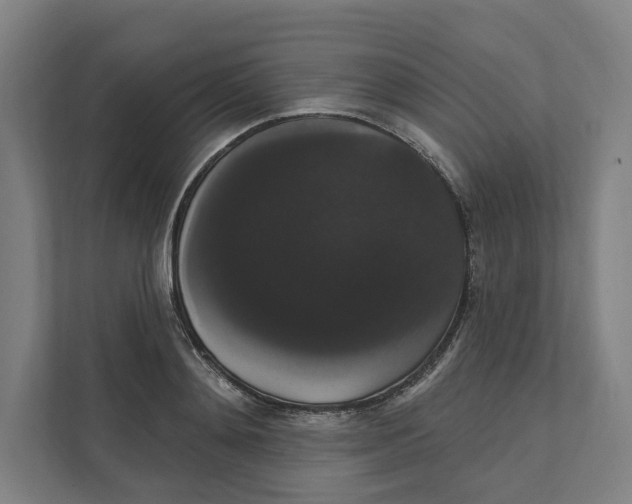 X0000111440892200908101012